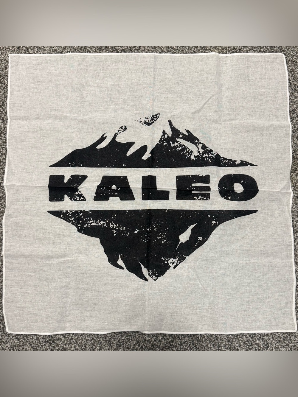 Kaleo 2022 tour